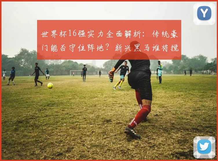 世界杯16强实力全面解析：传统豪门能否守住阵地？新兴黑马谁将搅动风云？